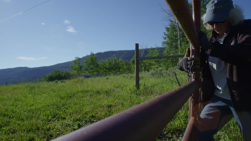Woman closing the fence in a field on the farm