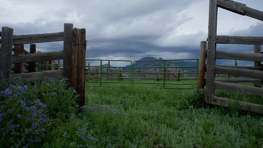An empty corral with wooden fences and a metal gate