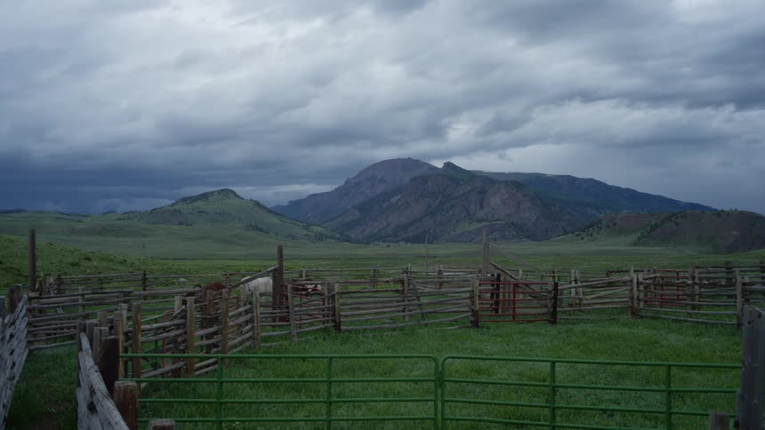 Two lone cows in a wooden corral on a grassy plain