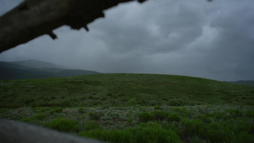 Mountain range with vegetation on a foggy day