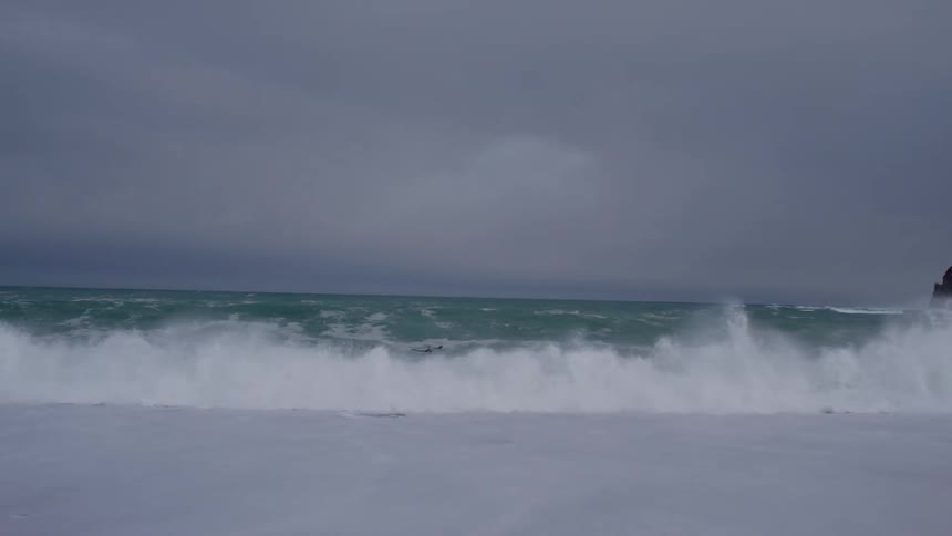 Three surfers on the beach in the sea