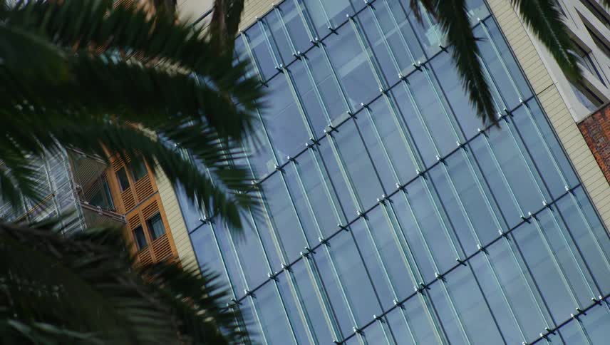 Exterior building windows framed by palm fronds during the day