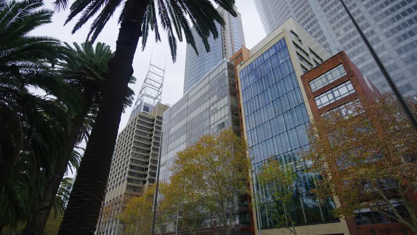 Leaves on trees turning colors in front of giant city skyscrapers