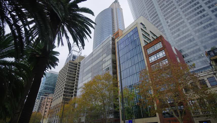 A clip of highrise buildings in the metropolis