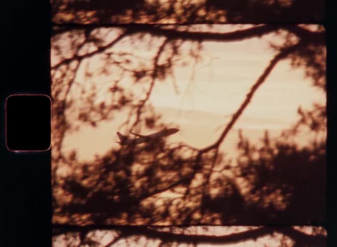 Silhouette of trees in the foreground and a plane taking off in an orange sky