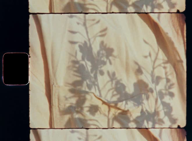 Abstract and arty film footage of the shadow of a branch or flower of a plant moving across a beige linen shirt covering the body or chest of a brunette woman with long brown hair as the warm evening sun shines onto her body with retro 8mm hipster vibes