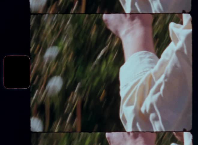 Young girl picking white dandelions from a field