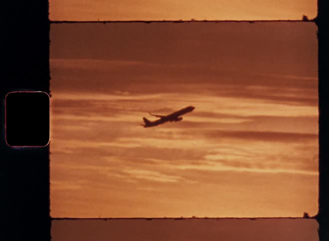 Silhouette of trees in the foreground and in the background a plane taking off in a reddish sky