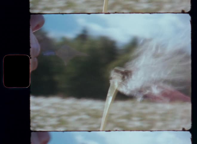 Close up of a person blowing up dandelion seeds on the wind captured on vintage film