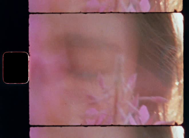 Macro close-up of the beautiful brown eye of a brunette brown-eyed female that holds a pink and lilac flower by her face while blinking her eyes as the bright sunshine creates a fancy lens flare and glare in the vintage Super 8mm camera