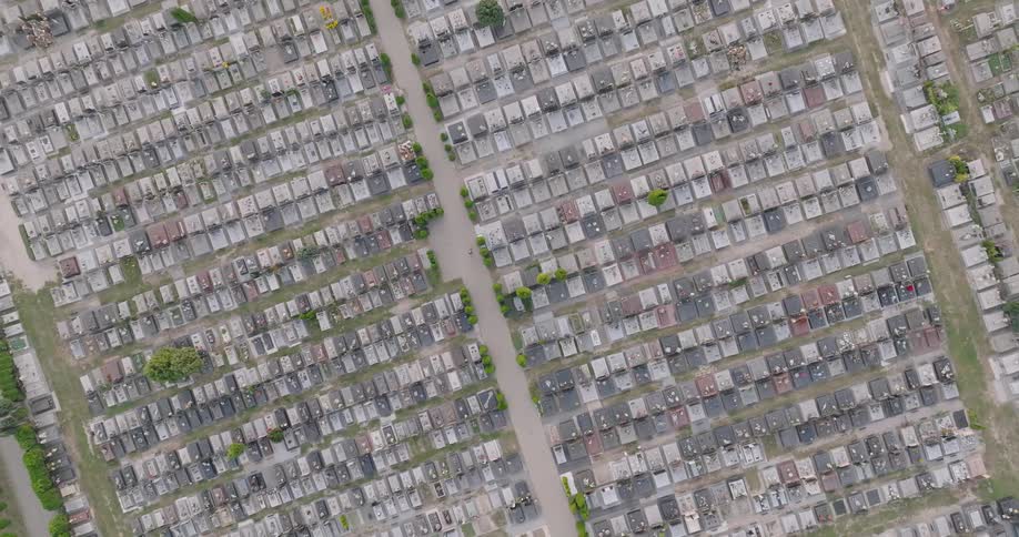 A large suburb of houses bordered by roads and bushes and trees