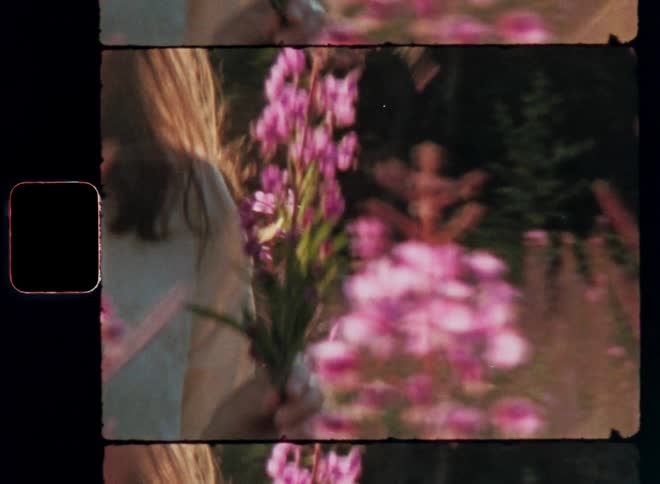 Brown-haired woman walking through a garden or field of wild flowers carrying a pink flower seedling or branch in her hands as she moves through the beautiful plants on a sunny spring or summer afternoon with nostalgic vibe