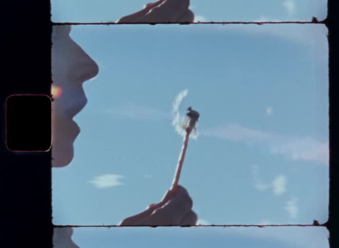 Close up of a person blowing up dandelion seeds on the wind