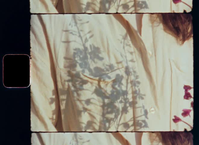 Super 8mm close-up of a moving shadow of a beautiful flower in the hands of a pretty brunette woman wearing a beige linen shirt as the warm sun shines onto her body and face while she is contemplating and enjoying the sunshine