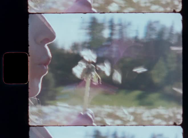 Young girl in a field blowing a white dandelion