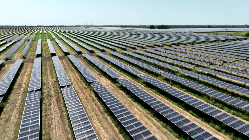 Panorama of a dog with a vast array of solar panels