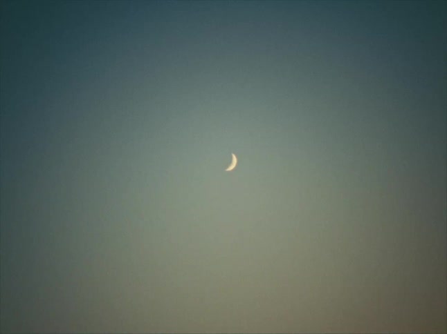 Crescent moon in a dusky sky with a single bird flying below