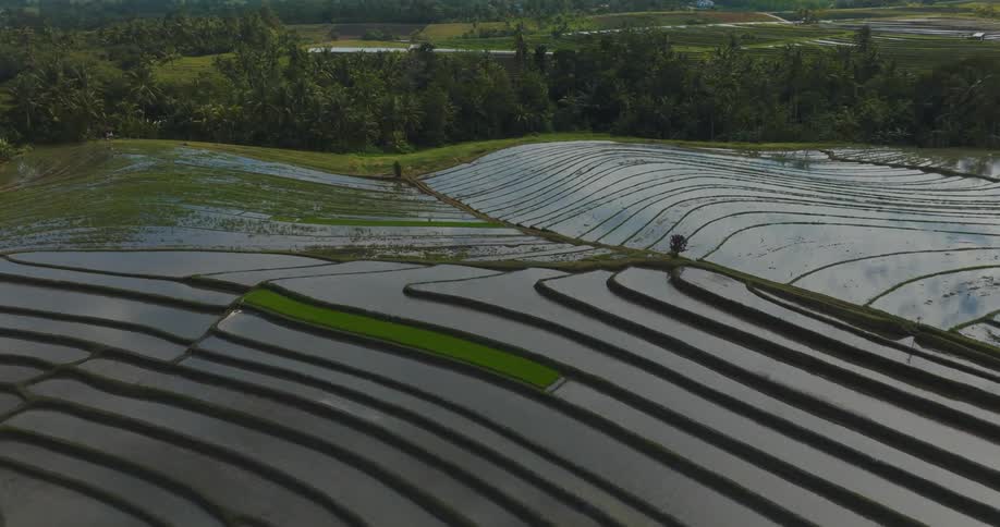 Aerial view of agriculture in hills with water