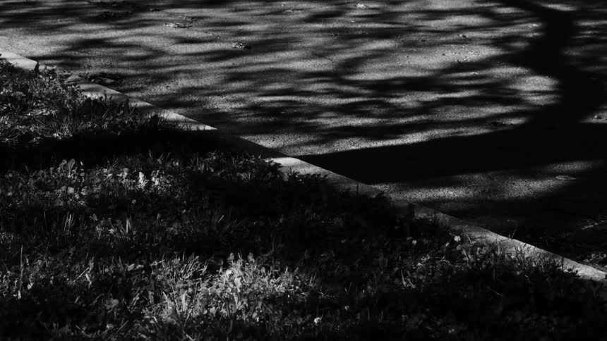 Stone steps in a park