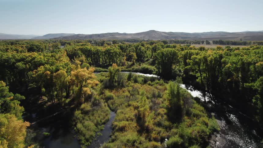 River meandering through a densely forested valley with hills in the background