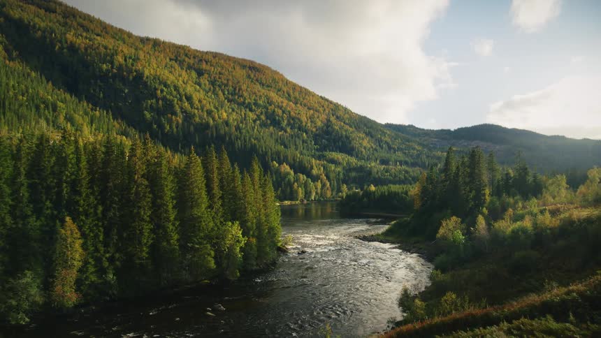 River meandering through a densely forested valley with hills in the background