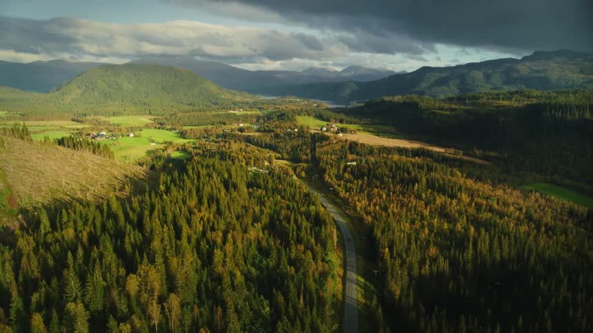 Aerial view of a highway surrounded by conifers in a mountain valley