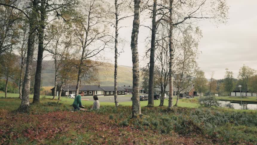 Two people preparing a picnic in an outdoor with some thin trees in autumn
