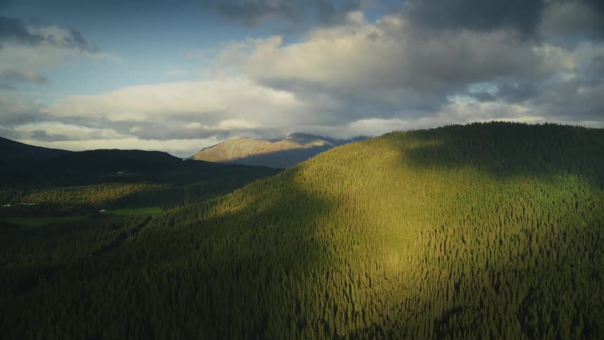 Aerial view of a dense forest with rolling hills under a partly cloudy sky