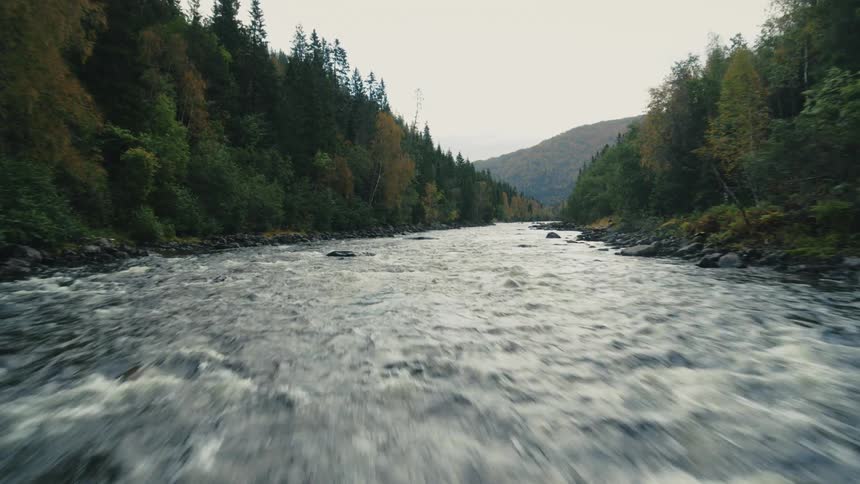 Forests and mountains with a river
