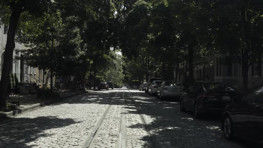 Treelined street with parked cars and tram tracks in the center