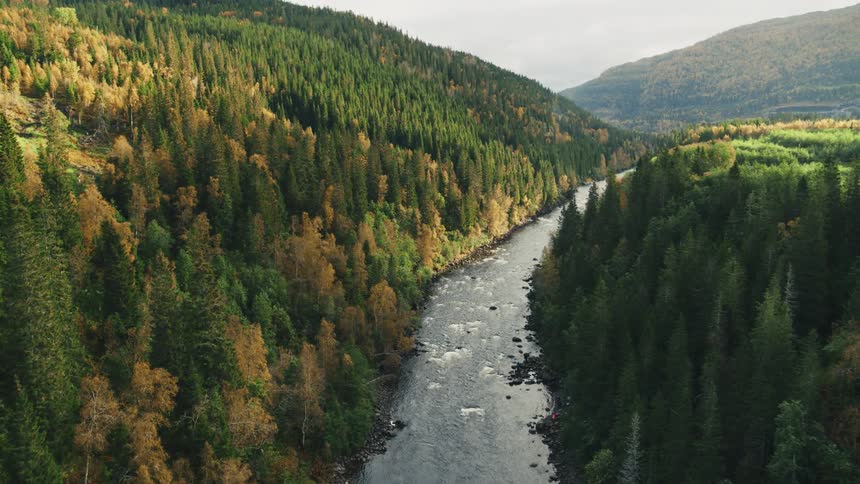 An aerial view of a river meandering through a densely forested valley
