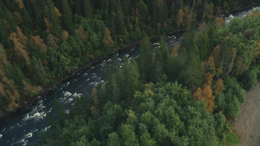 An aerial clip of a flowing river in the forest