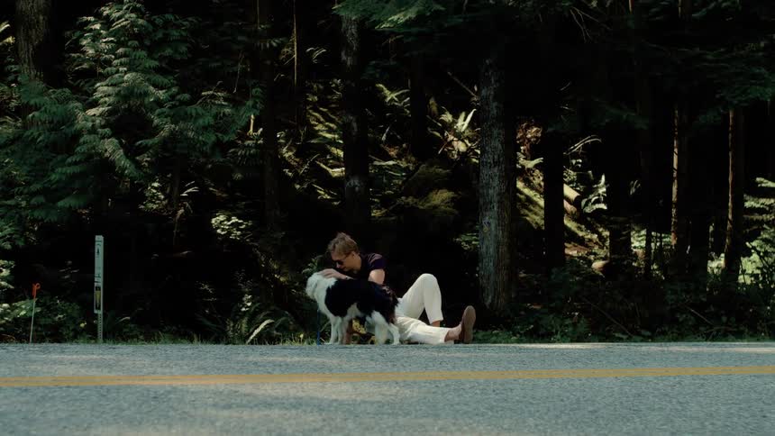 Man sitting on the side of the road with a dog