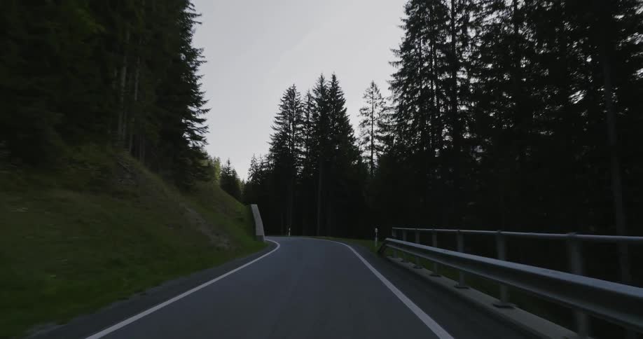 Vehicle driving down a winding road leading through a dense forest with tall pine trees on either side