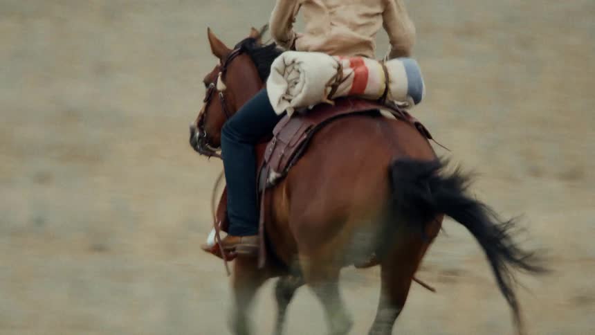 A horse gallops across a field with a rider