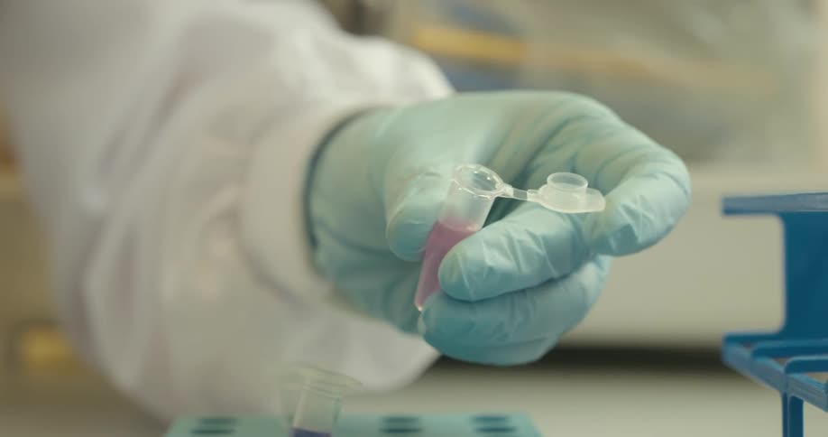 A person wearing a blue glove uses a pipette to transfer a pink substance into a container