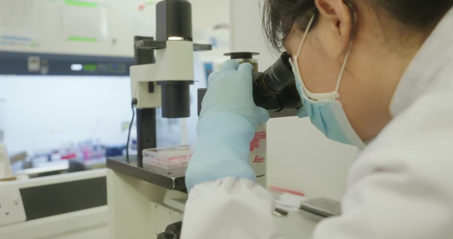 Woman uses a microscope in a laboratory focusing on a sample