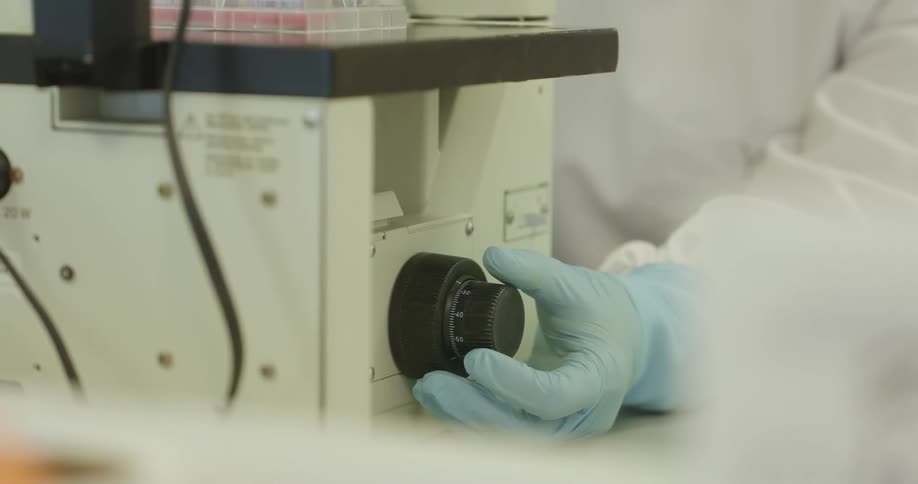 A lab worker wearing blue nitrile gloves slowly turns a dial on a microscope