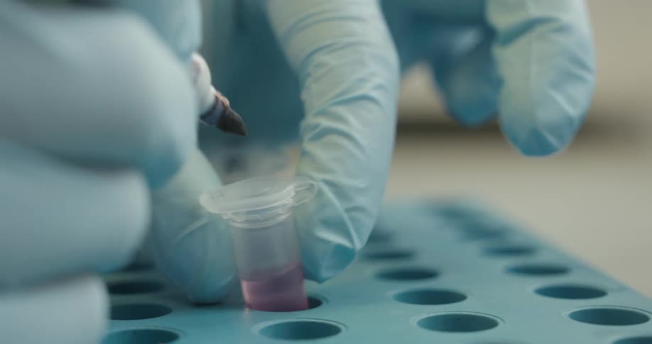 A researcher wearing gloves carefully handles a small tube filled with liquid placing it into a holder in a laboratory setting