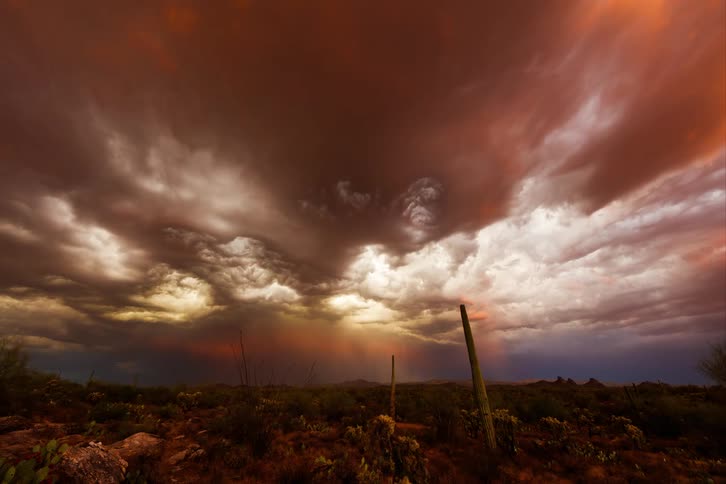Dark ominous clouds herald an impending storm over a desert landscape with a prominent cactus
