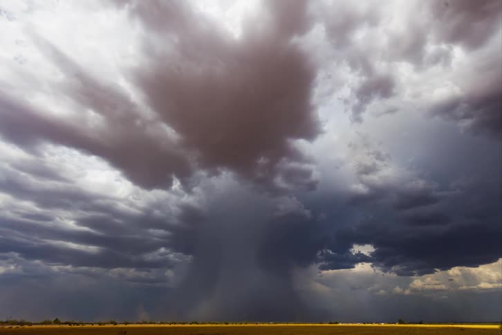 Large storm clouds move over a grassy field