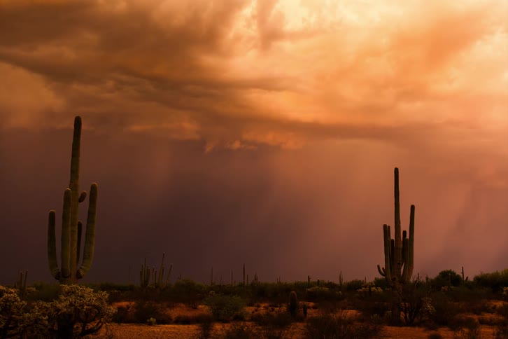 Time lapse of a gust of rain falling over a flat desert landscape