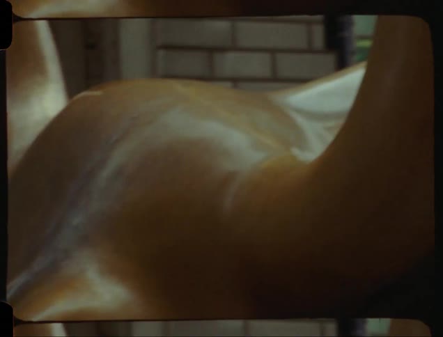 Large bull sculpture stands outside an open window