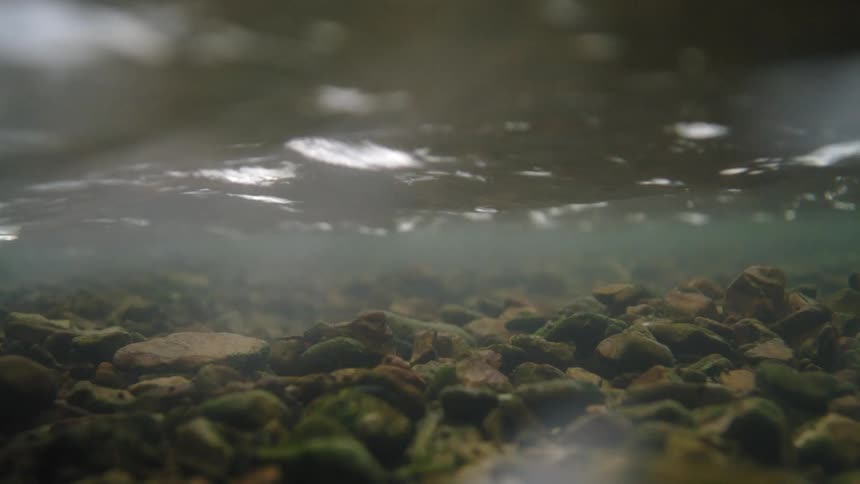 Underwater view of water flowing over rocks