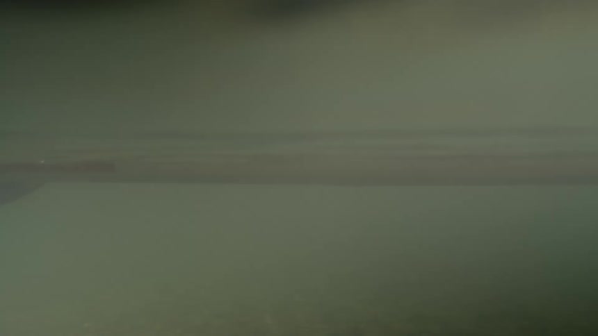 A clip of a person paddling a boat
