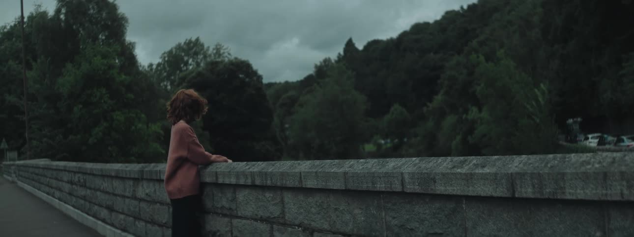 A woman stands on a bridge gazing at a forested valley