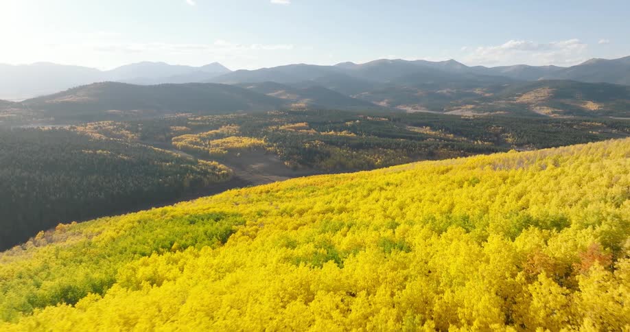 Aerial panorama of a yellowhued forest on a mountain with hills in the background