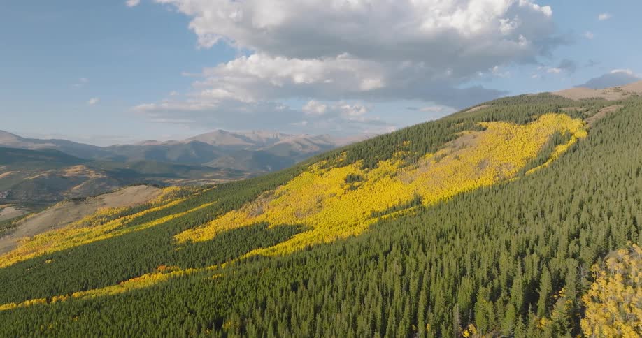 Trees starting to turn yellow on the slope of a large mountain range