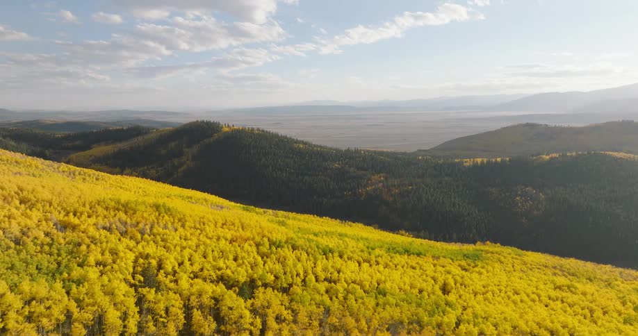 Aerial of a deciduous forest in a mountain range on a mostly sunny autumn day