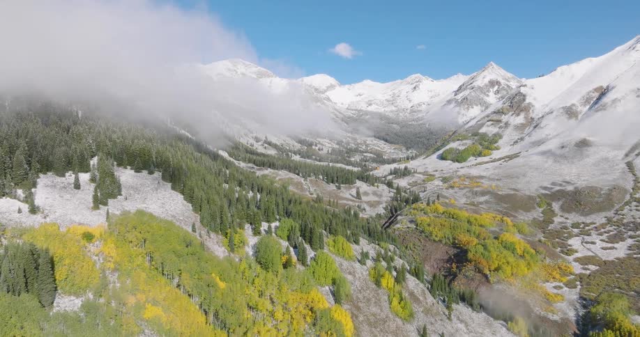 Aerial landscape of mountains with trees in shades of yellow and green